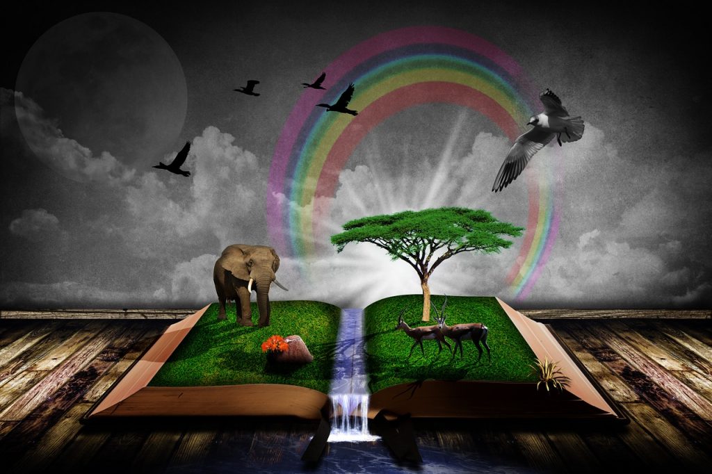 fantastical image of a rainbow and animals pouring out of an open book